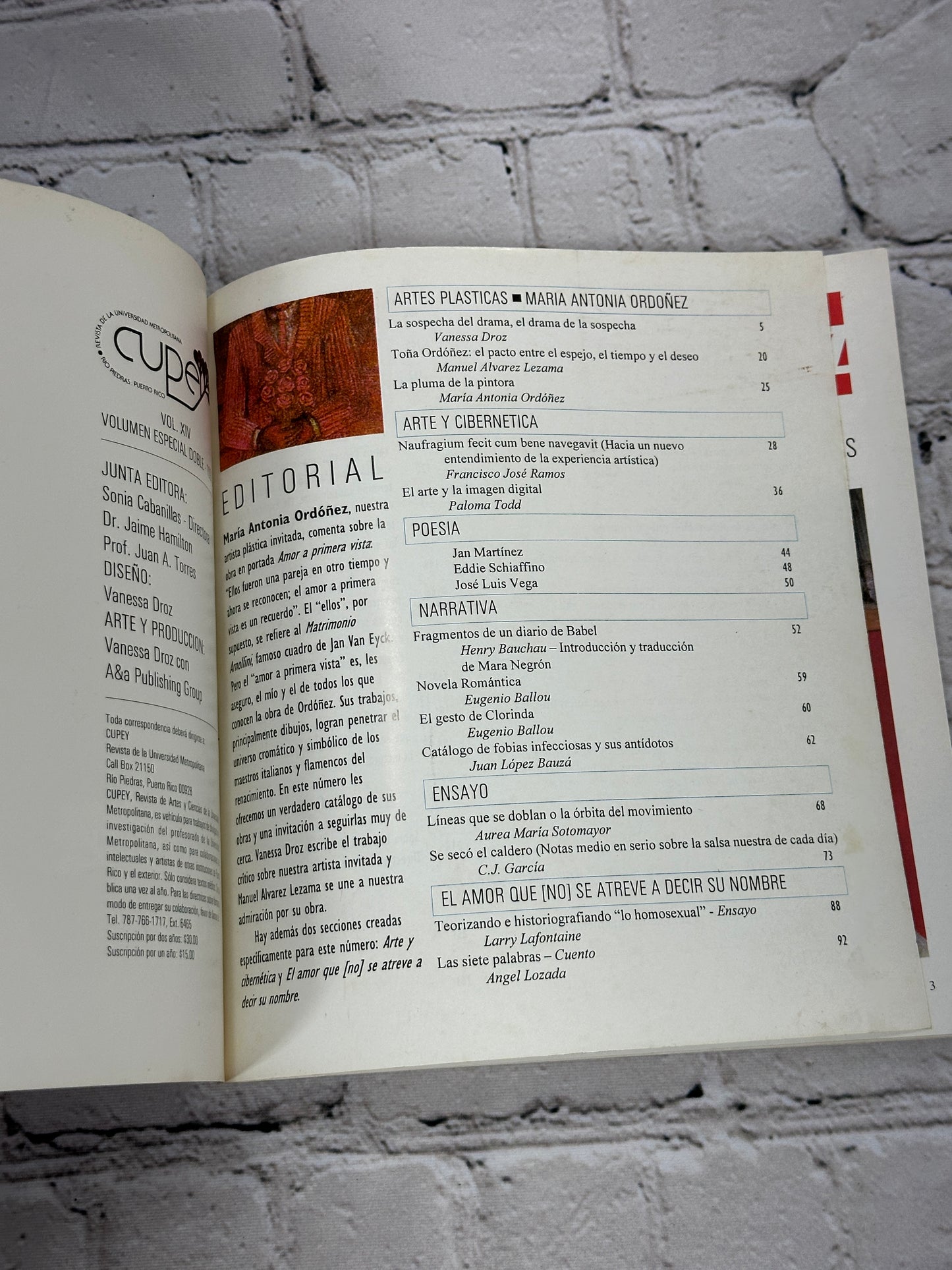 Cupey Revista de la Universidad Metropolitana Vol. XIV [1st Edition · 1999]