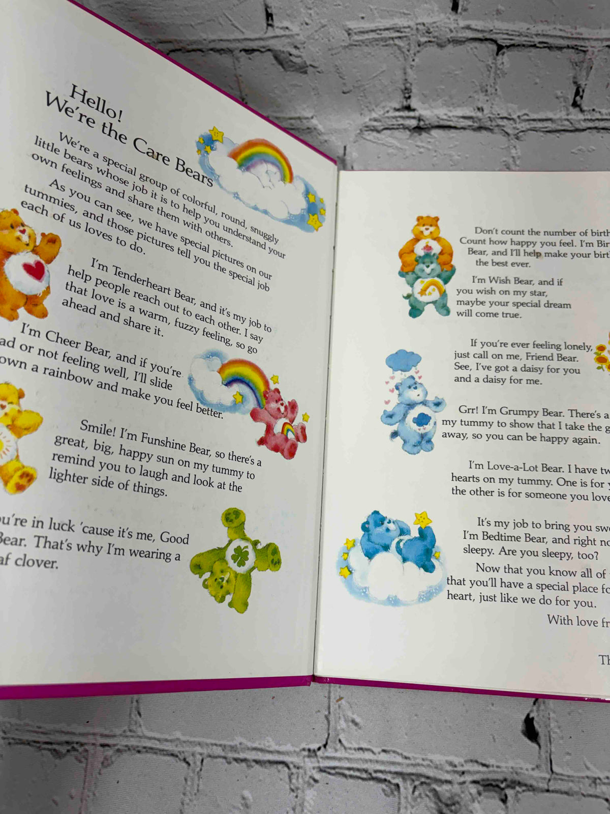 A Tale from the Care Bears lot of 9 hardcovers, Parker Brothers 1983-1984 - Caring is What Counts endpapers introducing the Care Bears