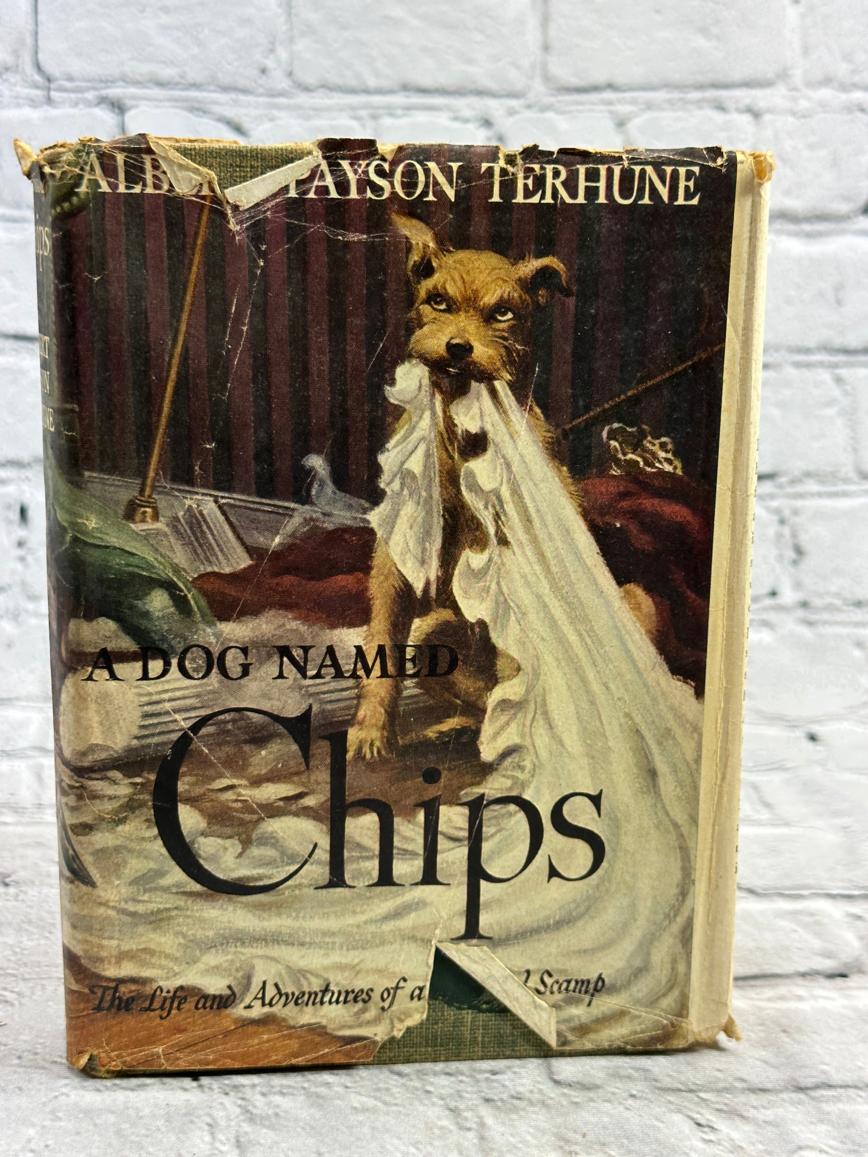 A Dog Named Chips by Albert Payson Terhune [1931] – Flipped Pages
