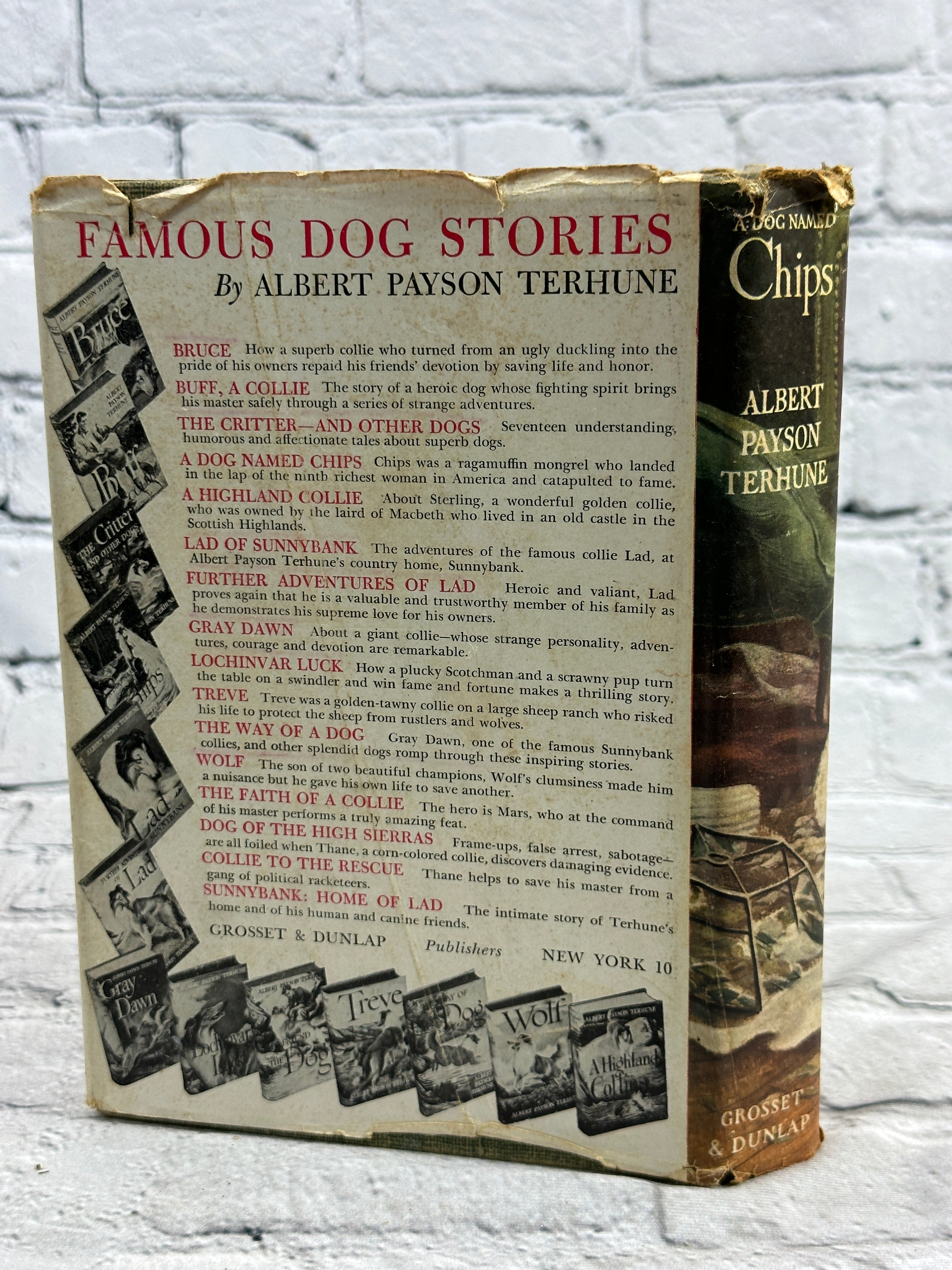 A Dog Named Chips by Albert Payson Terhune [1931] – Flipped Pages