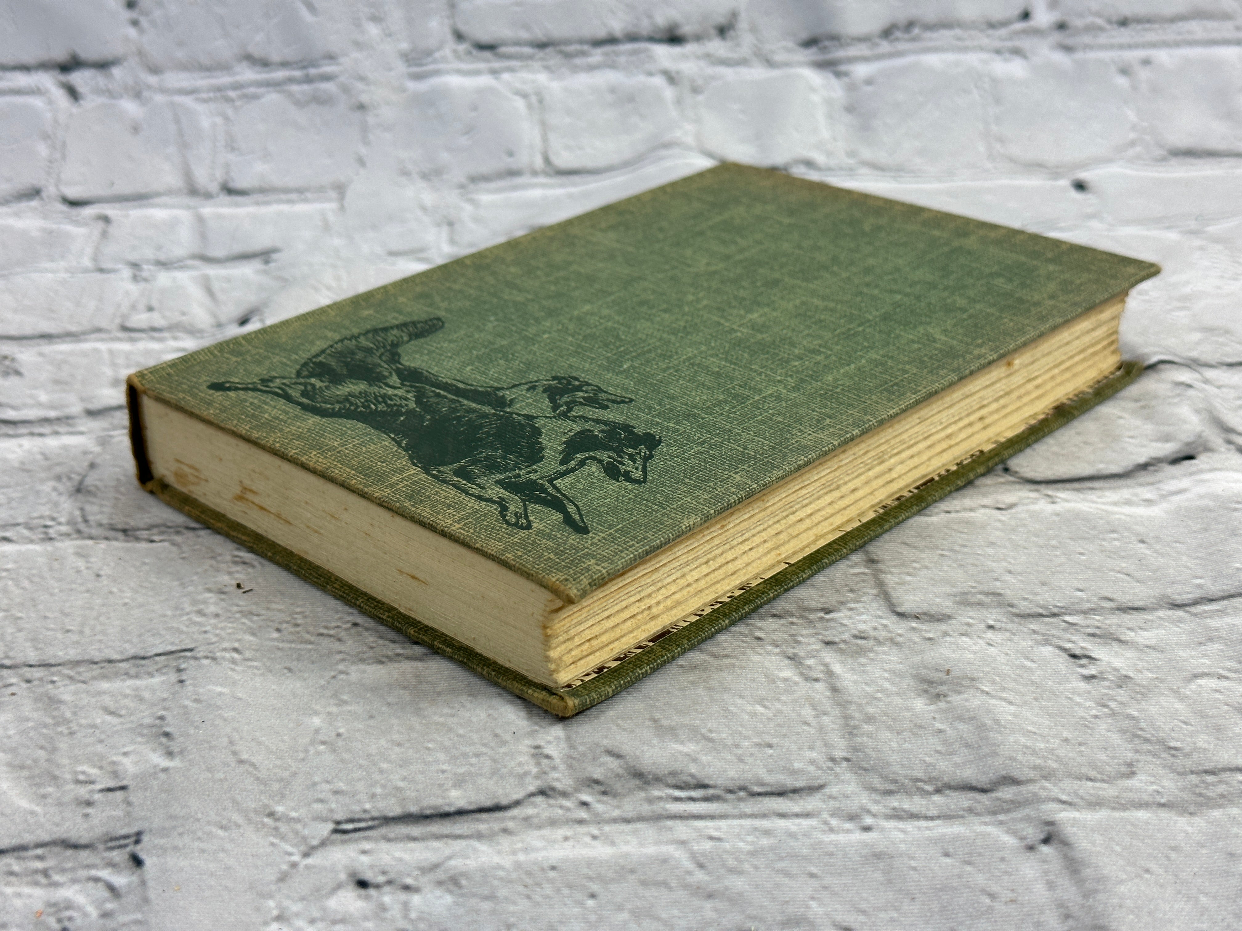 A Dog Named Chips by Albert Payson Terhune [1931] – Flipped Pages