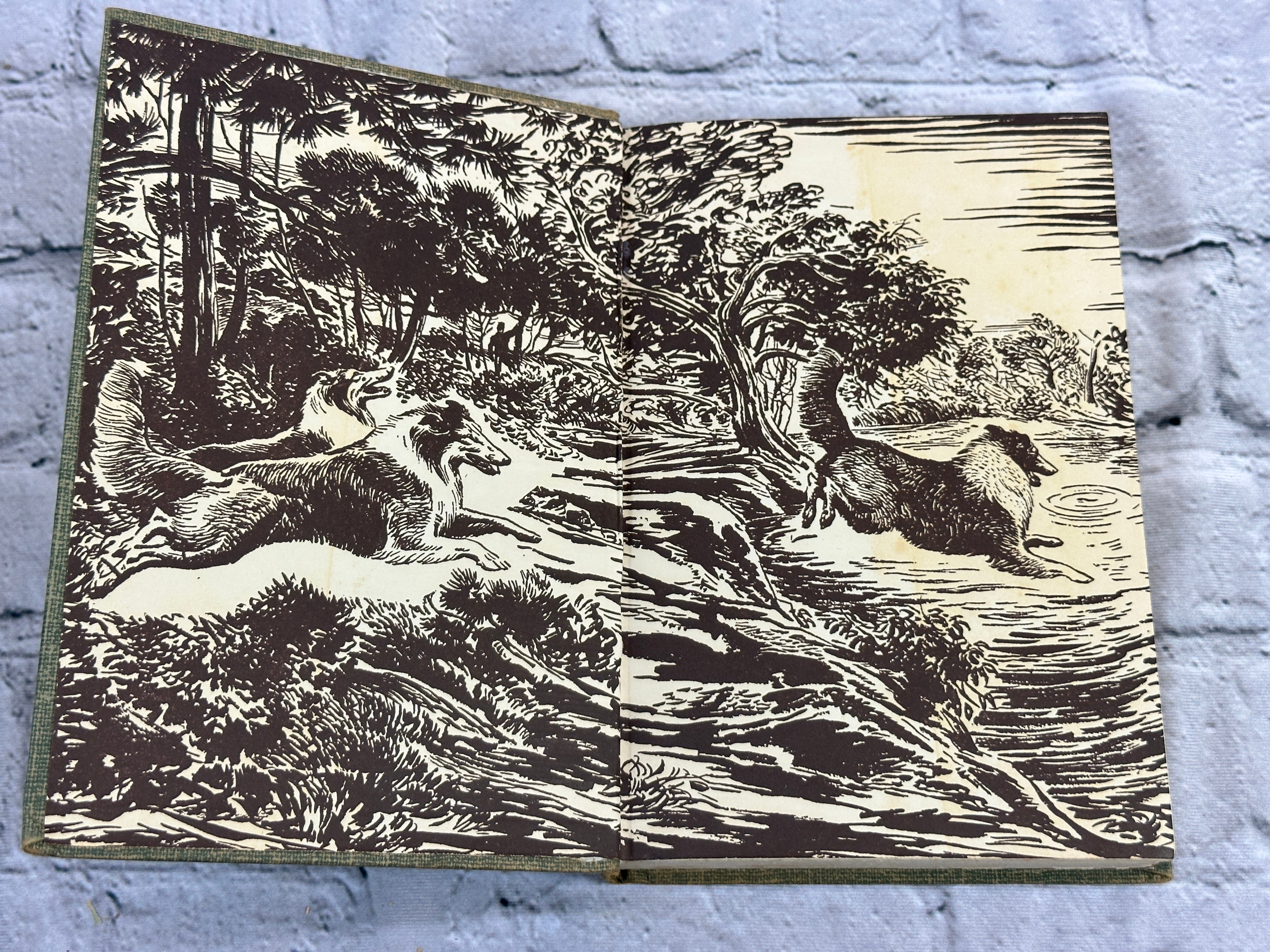 A Dog Named Chips by Albert Payson Terhune [1931] – Flipped Pages