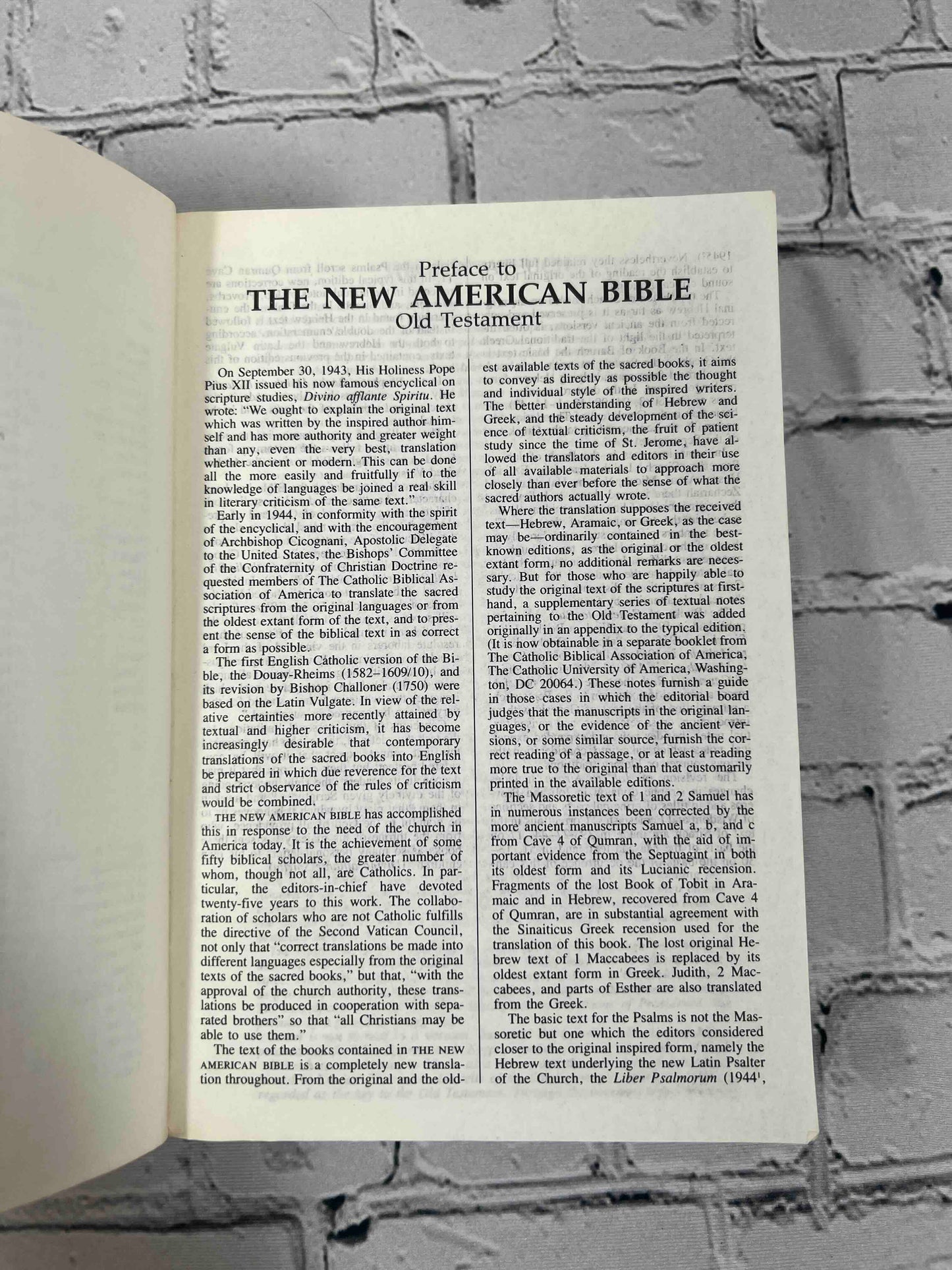 The New American Bible For Catholics (2403 · Red Letter Edition)