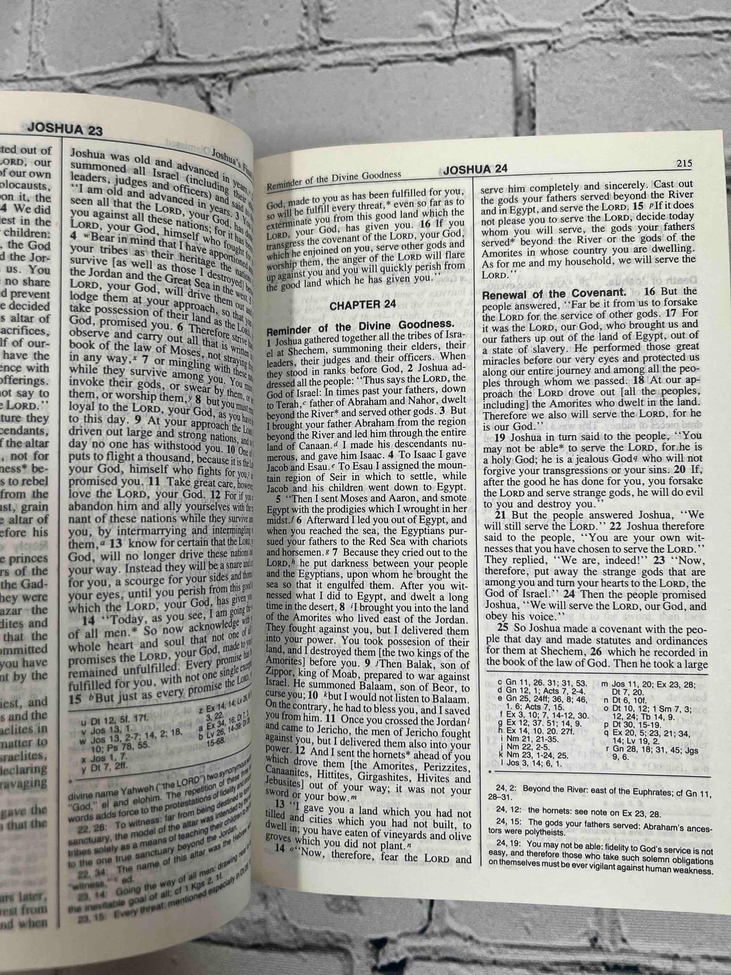 The New American Bible For Catholics (2403 · Red Letter Edition)