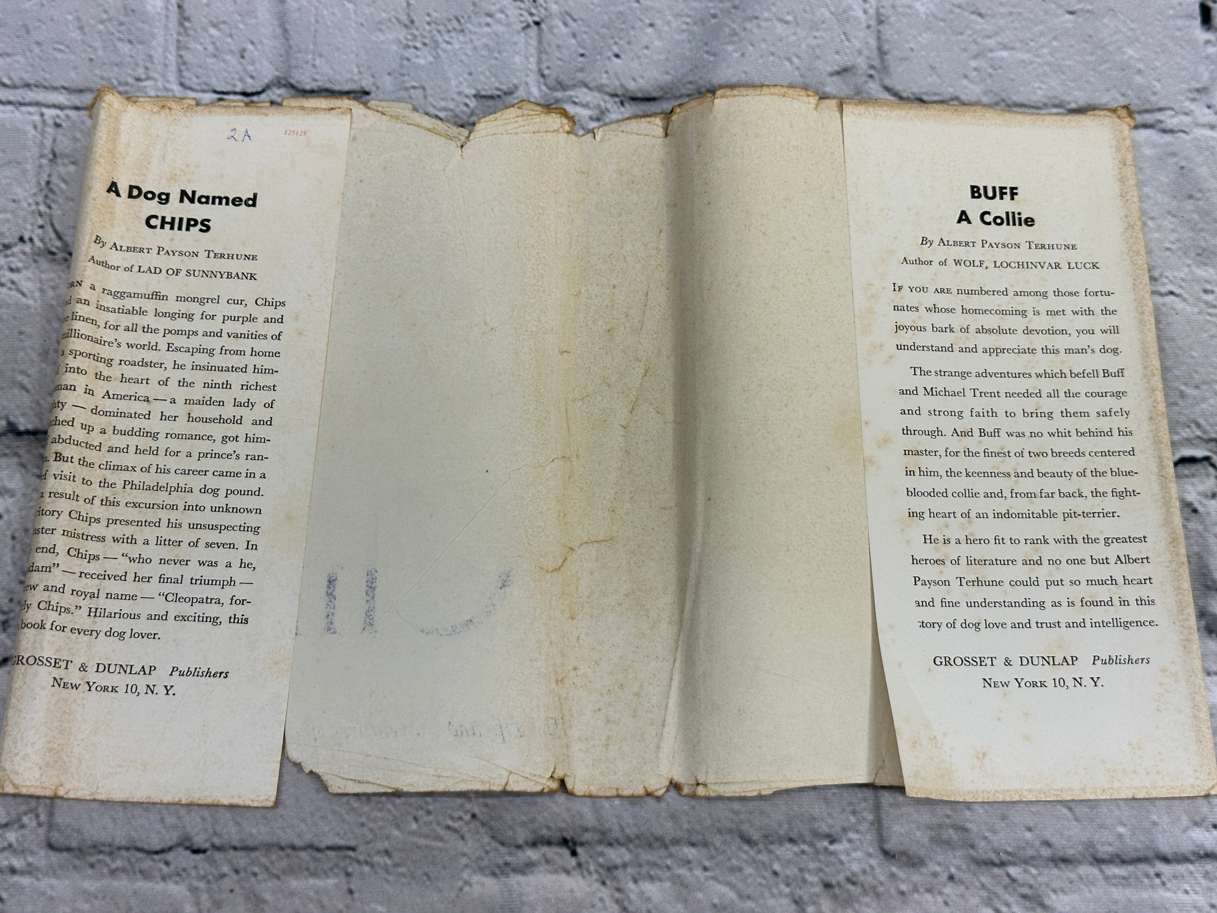 A Dog Named Chips by Albert Payson Terhune [1931] – Flipped Pages