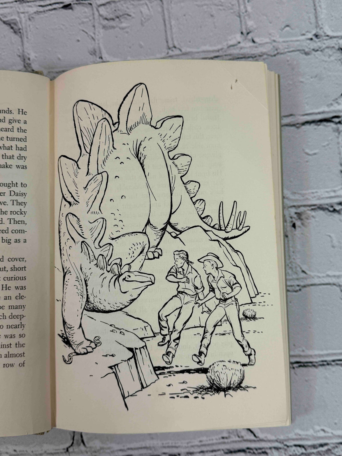 The Shy Stegosaurus of Cricket Creek