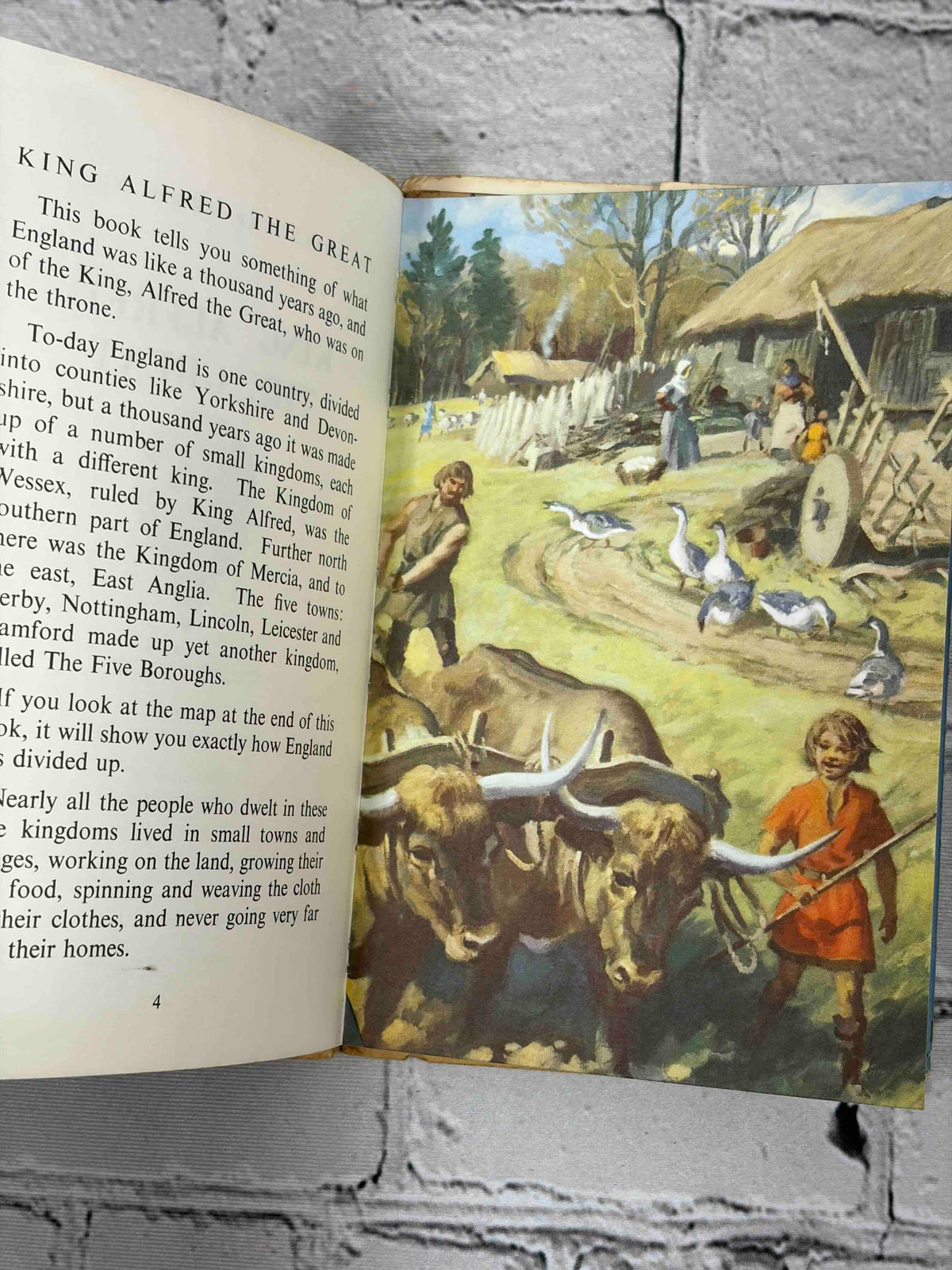 Lot of 8 vintage Ladybird books - King Alfred the Great illustrated page