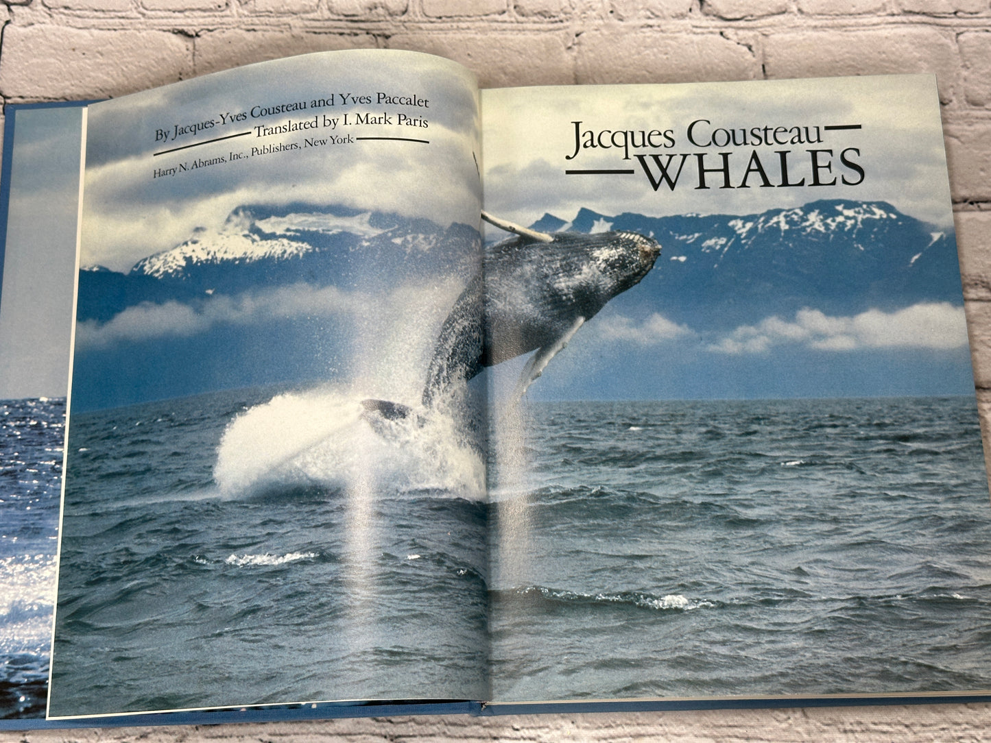 Whales by Jacques Cousteau and Yves Paccalet [1988]