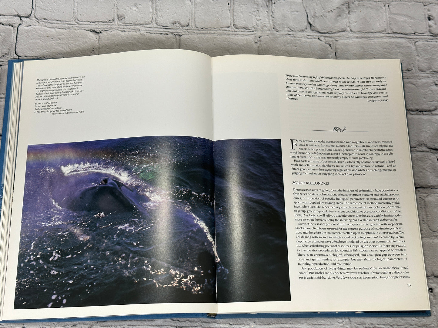 Whales by Jacques Cousteau and Yves Paccalet [1988]