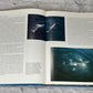 Whales by Jacques Cousteau and Yves Paccalet [1988]