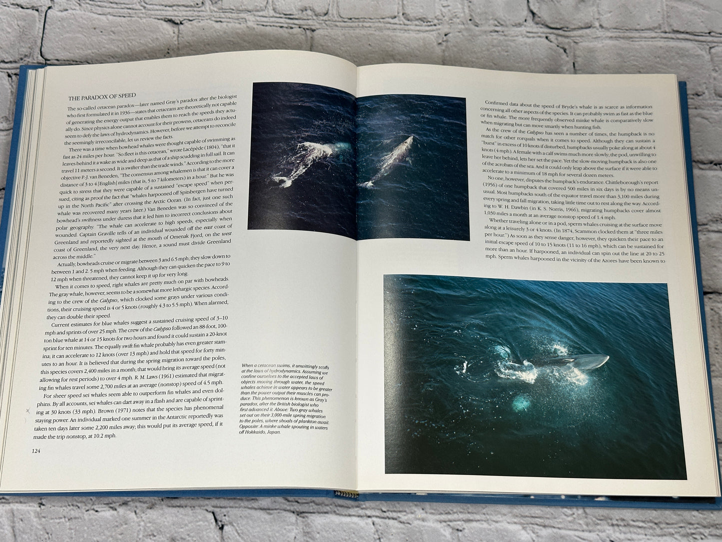 Whales by Jacques Cousteau and Yves Paccalet [1988]