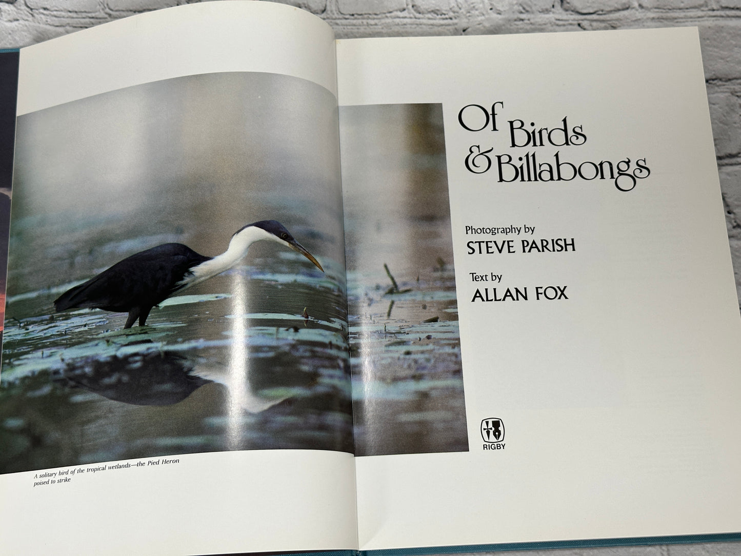 Of Birds & Billabongs by Allan Fox [1983]