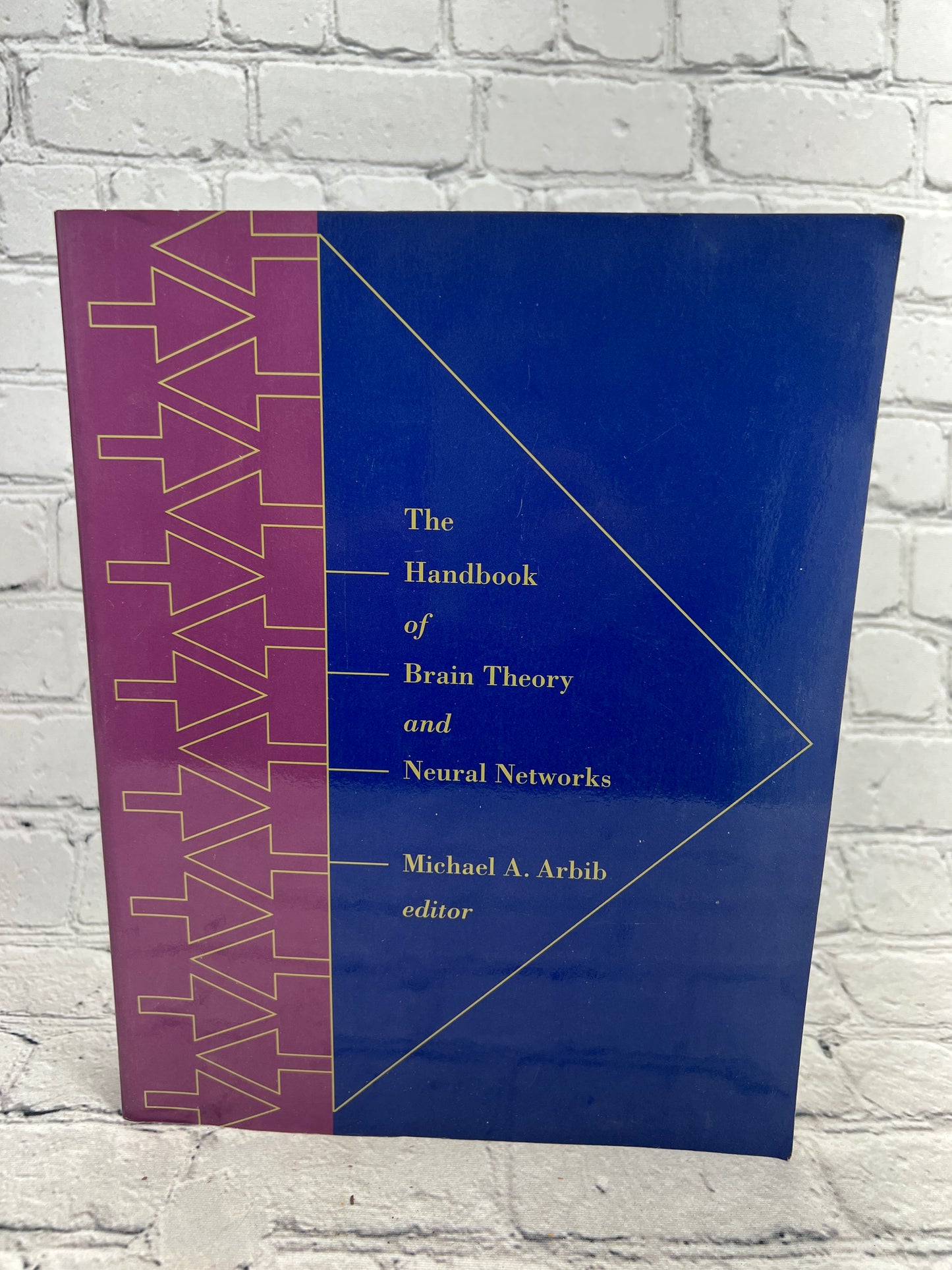 The Handbook of Brain Theory and Neural Networks, Michael Arbib [1st MIT PB 1998]