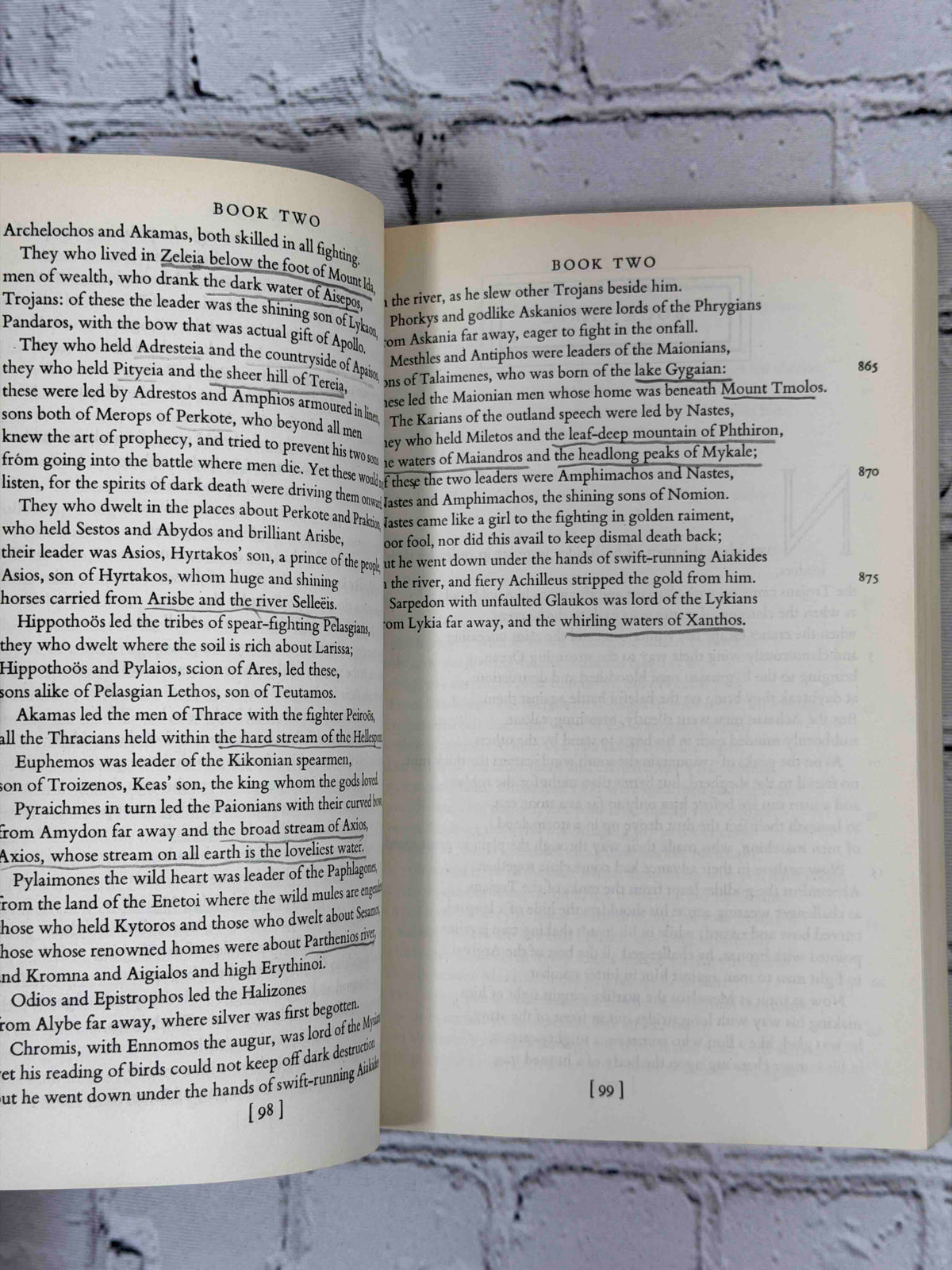 The Iliad of Homer
