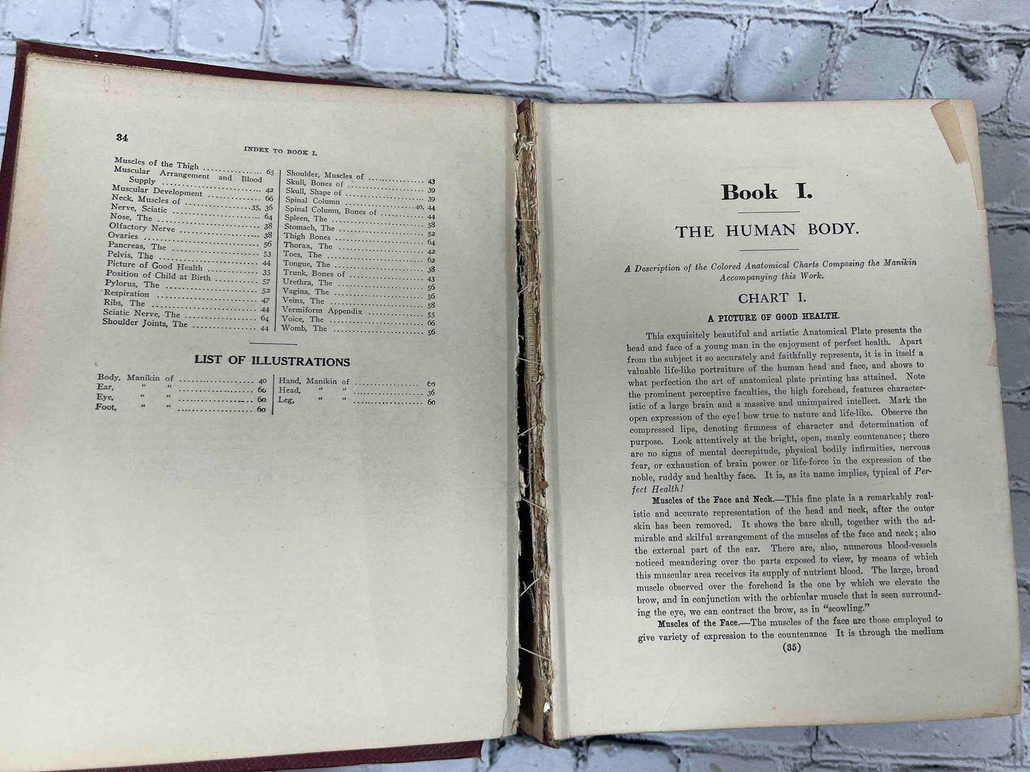 Library of Health: Complete Guide to Prevention and Cure of Disease