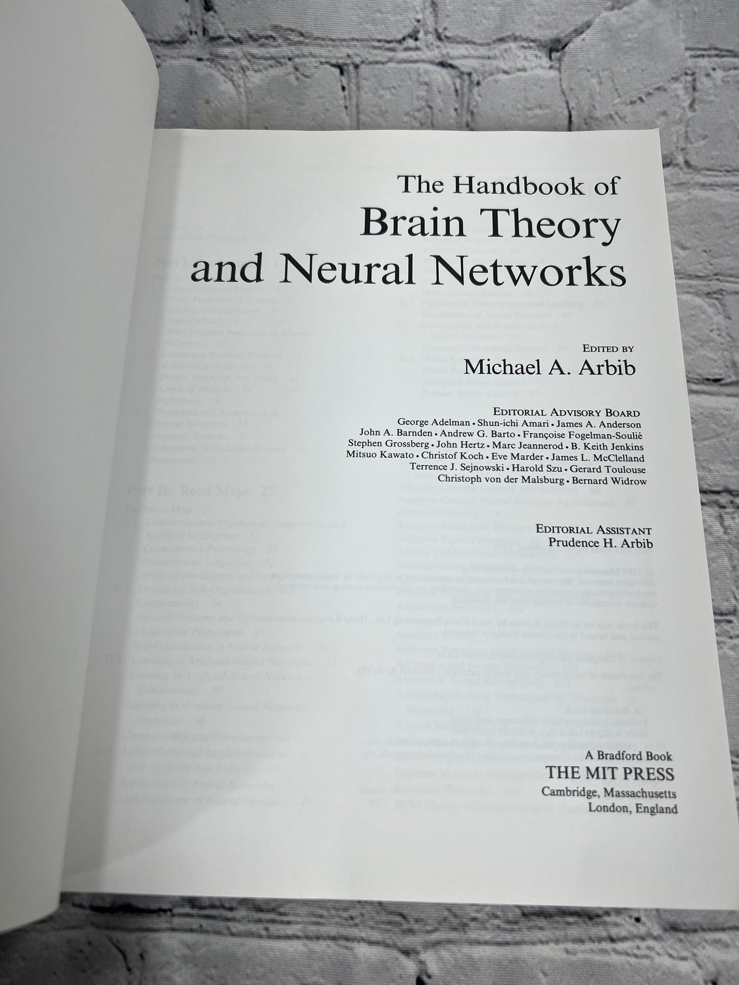 The Handbook of Brain Theory and Neural Networks, Michael Arbib [1st MIT PB 1998]