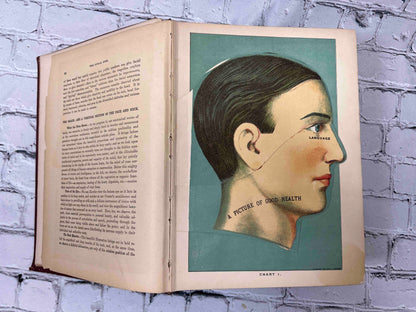 Library of Health: Complete Guide to Prevention and Cure of Disease