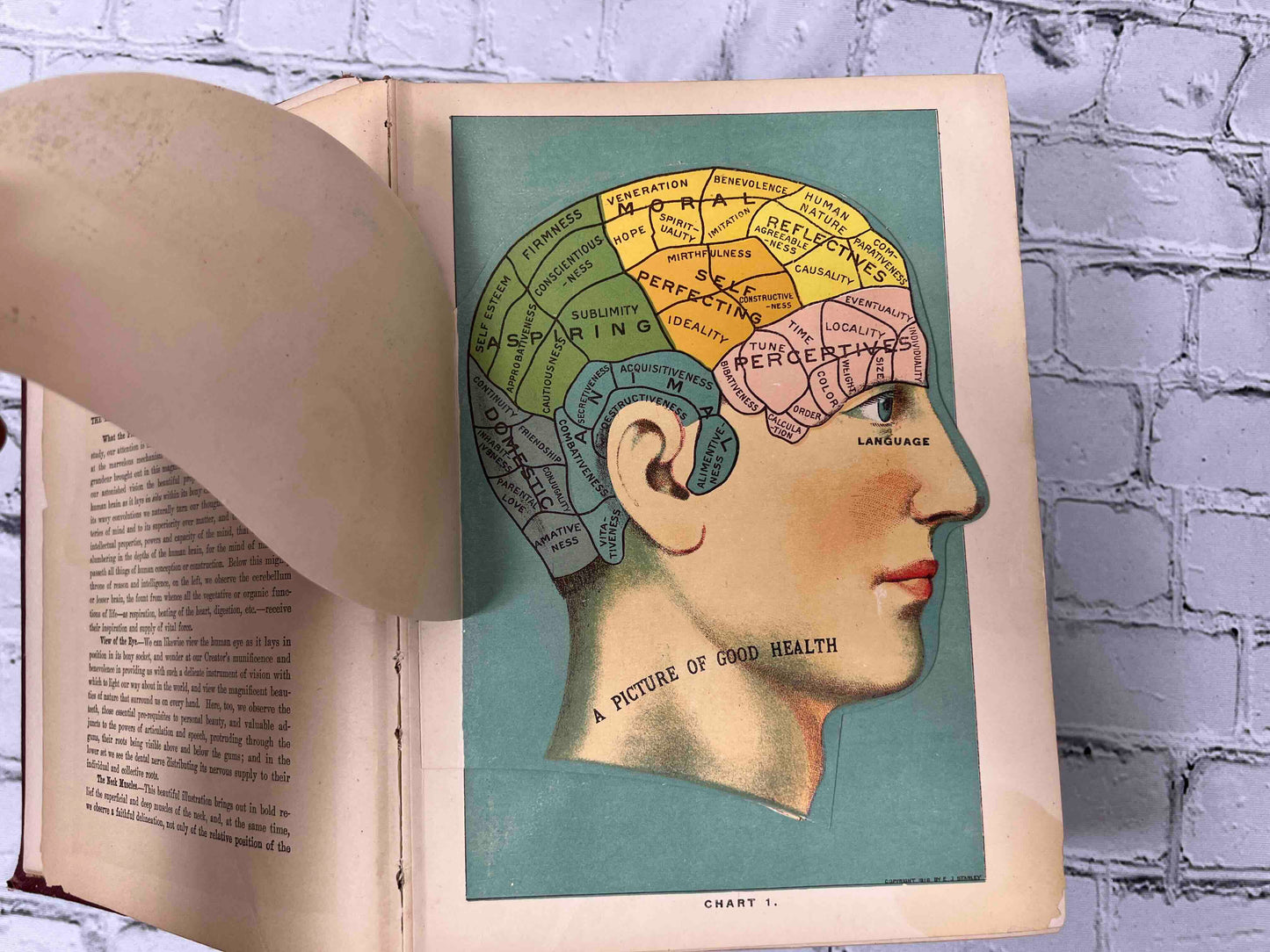 Library of Health: Complete Guide to Prevention and Cure of Disease