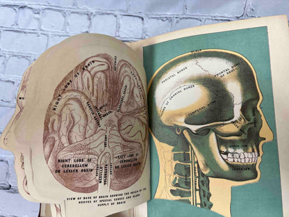 Library of Health: Complete Guide to Prevention and Cure of Disease