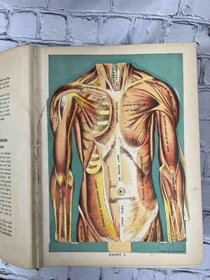 Library of Health: Complete Guide to Prevention and Cure of Disease
