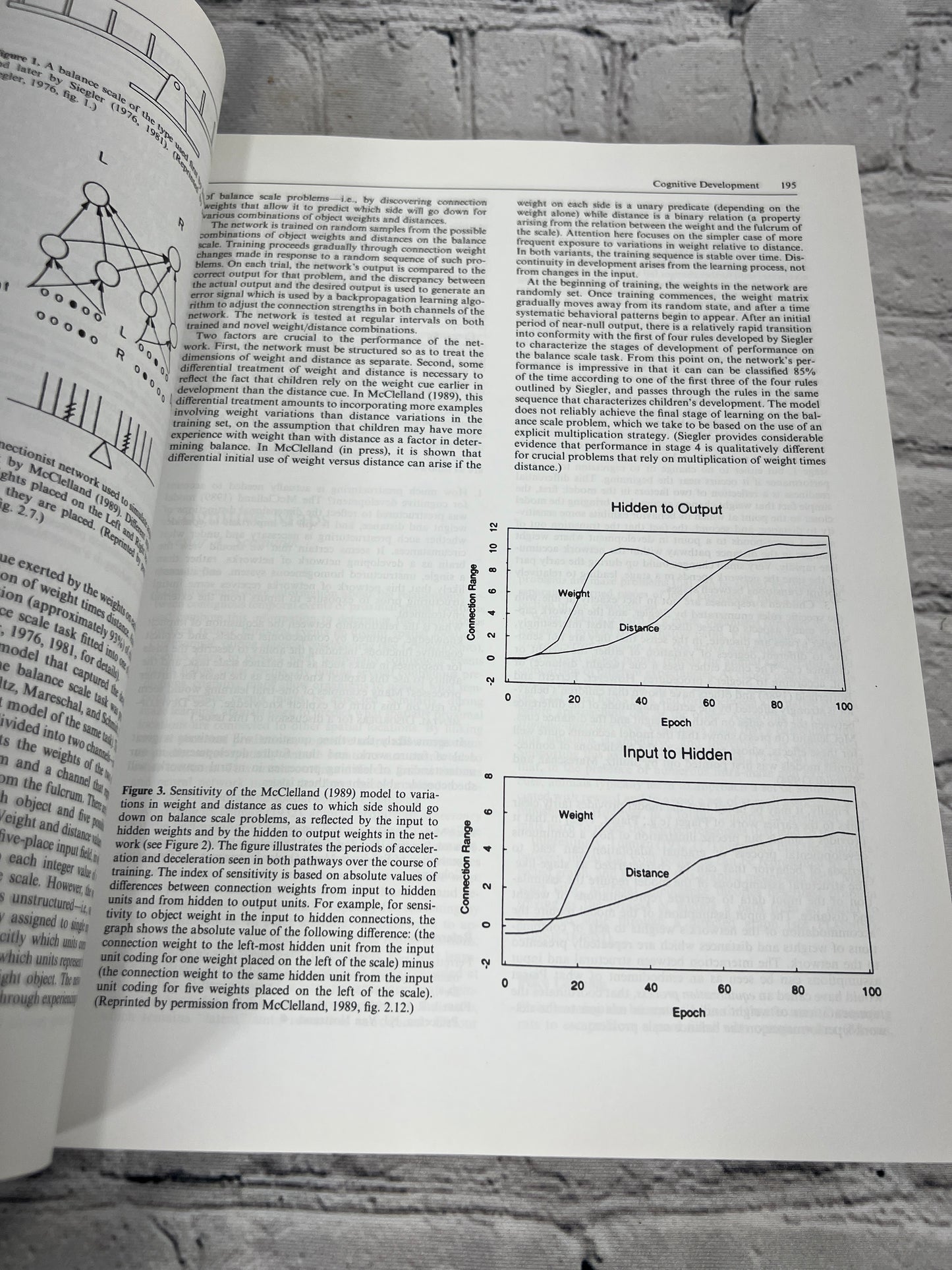 The Handbook of Brain Theory and Neural Networks, Michael Arbib [1st MIT PB 1998]