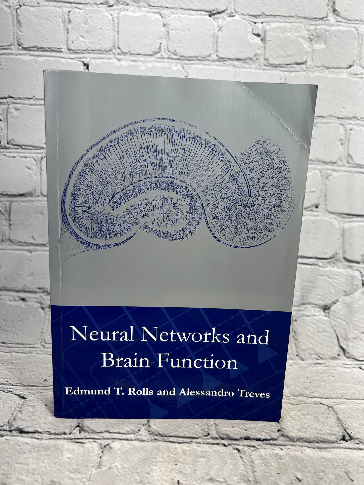 Neural Networks and Brain Function by Edmund Rolls & Alessandro T. [1999]