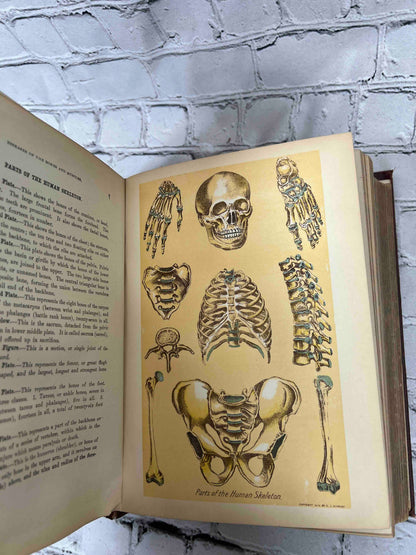Library of Health: Complete Guide to Prevention and Cure of Disease