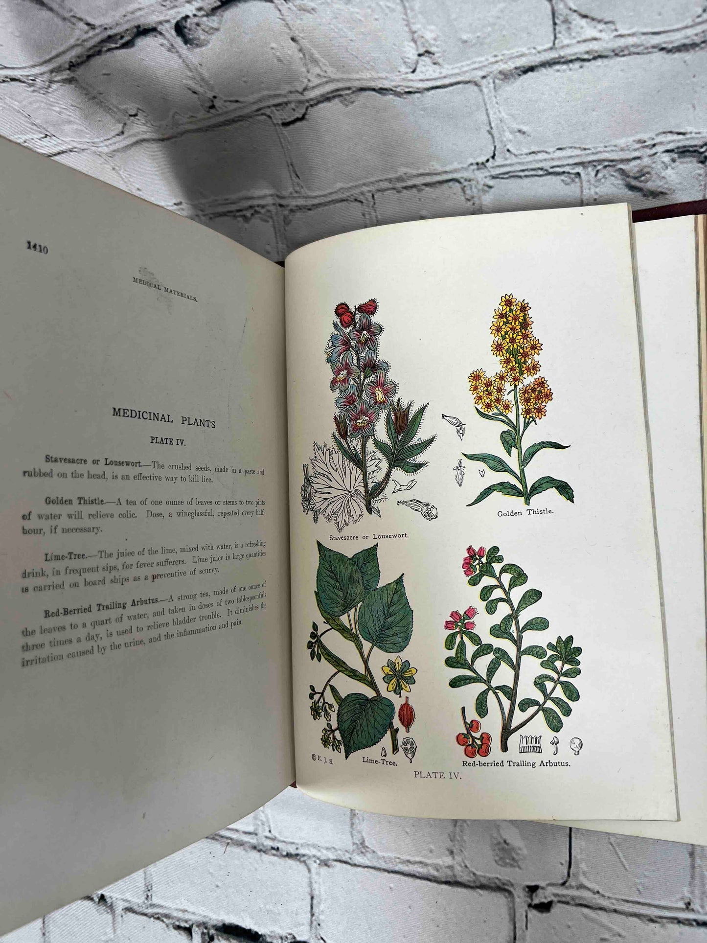Library of Health: Complete Guide to Prevention and Cure of Disease