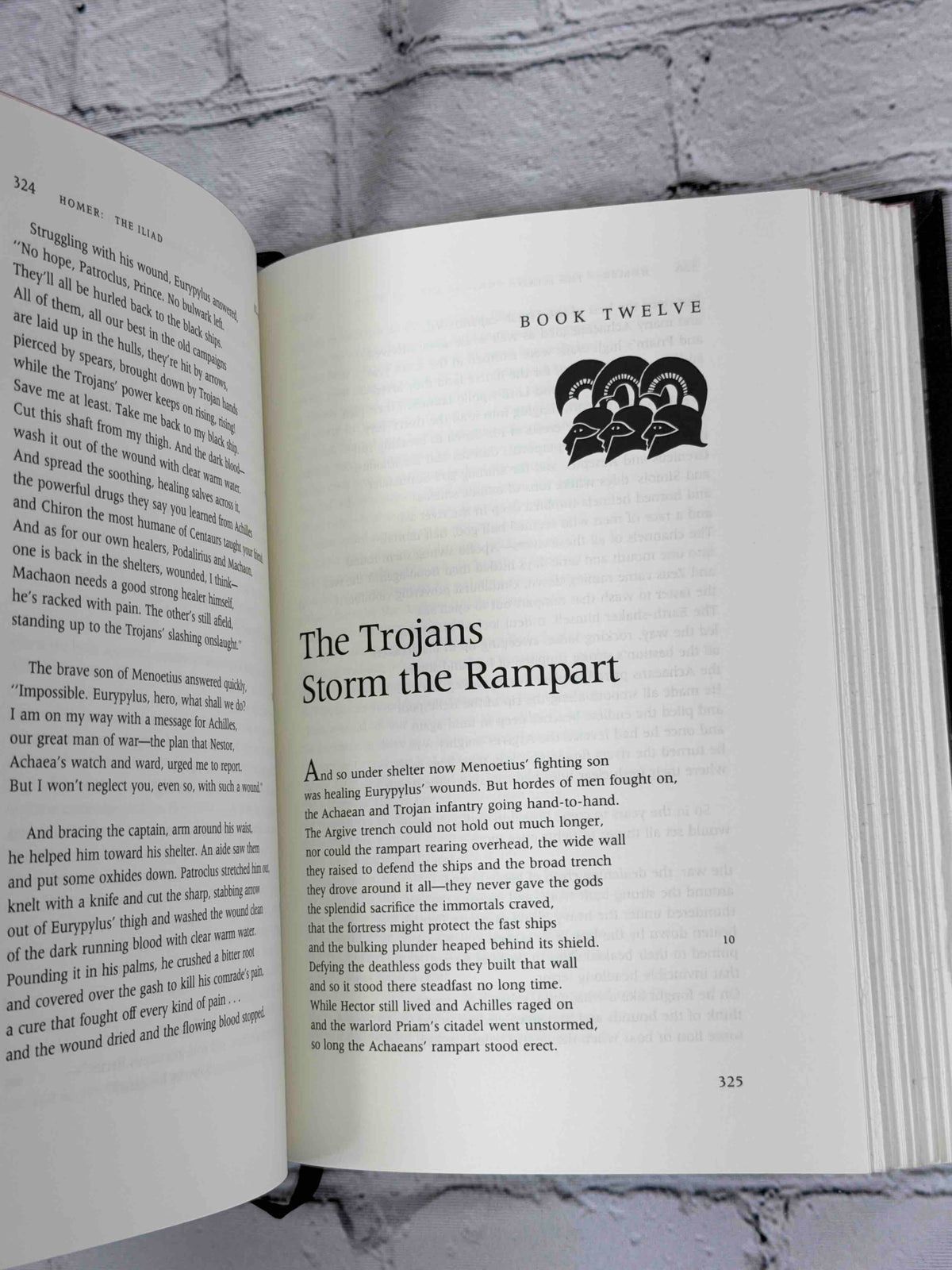 The Iliad