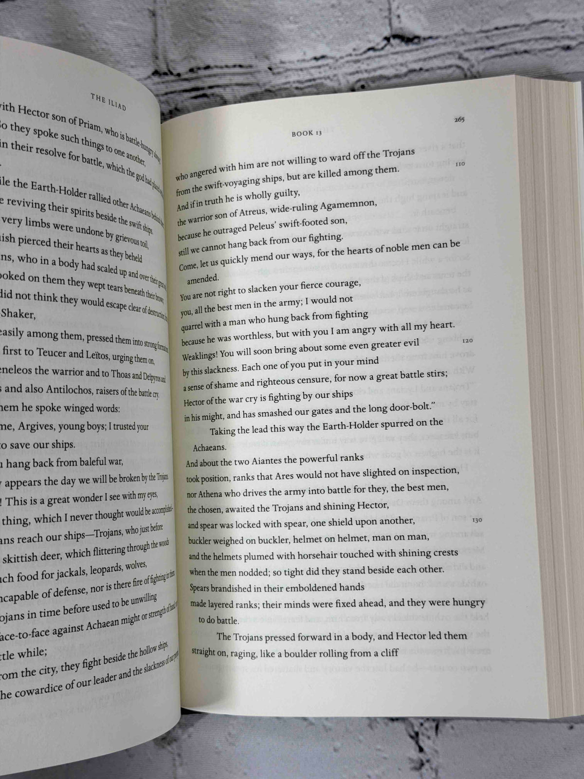 The Iliad