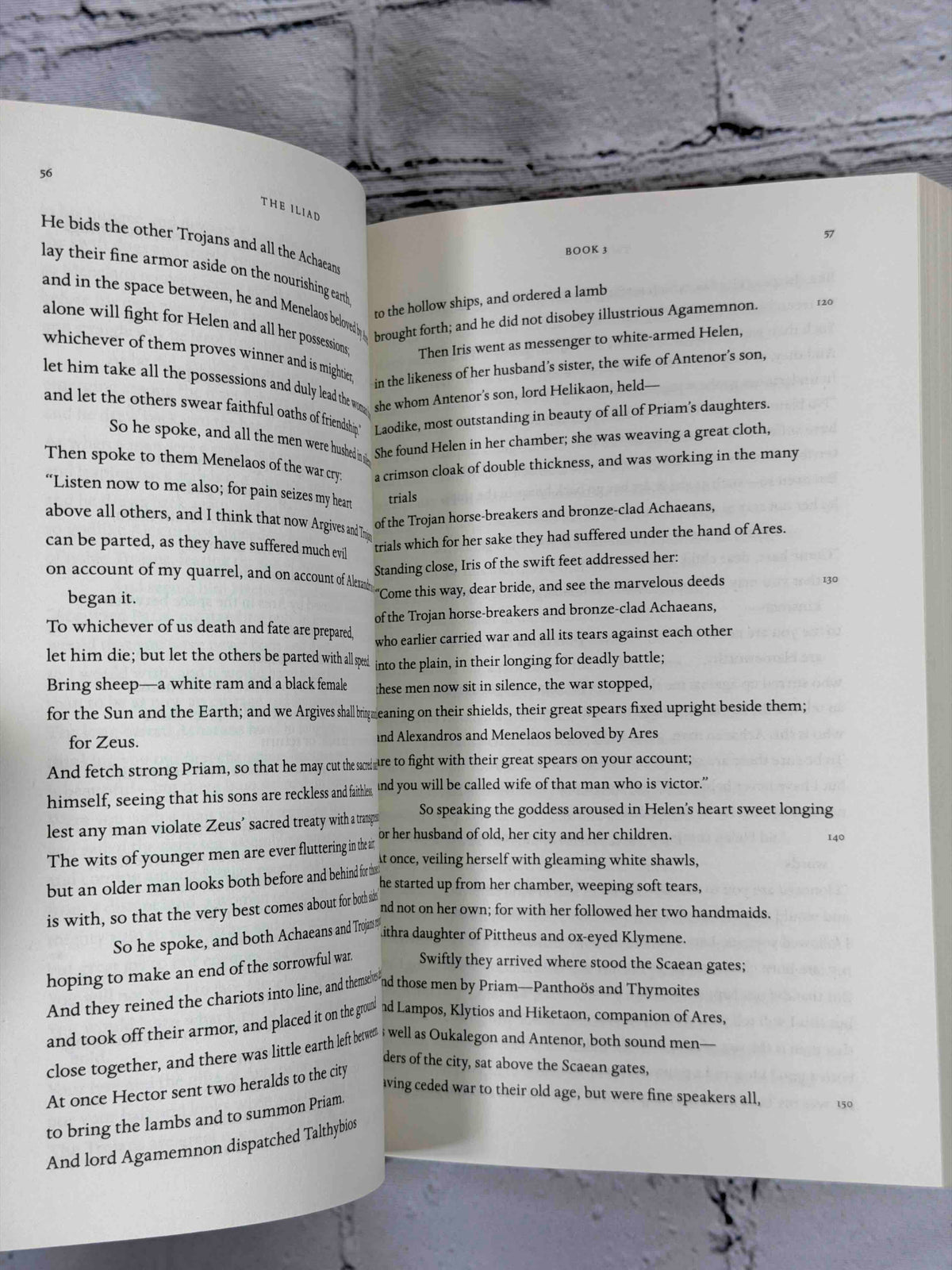 The Iliad