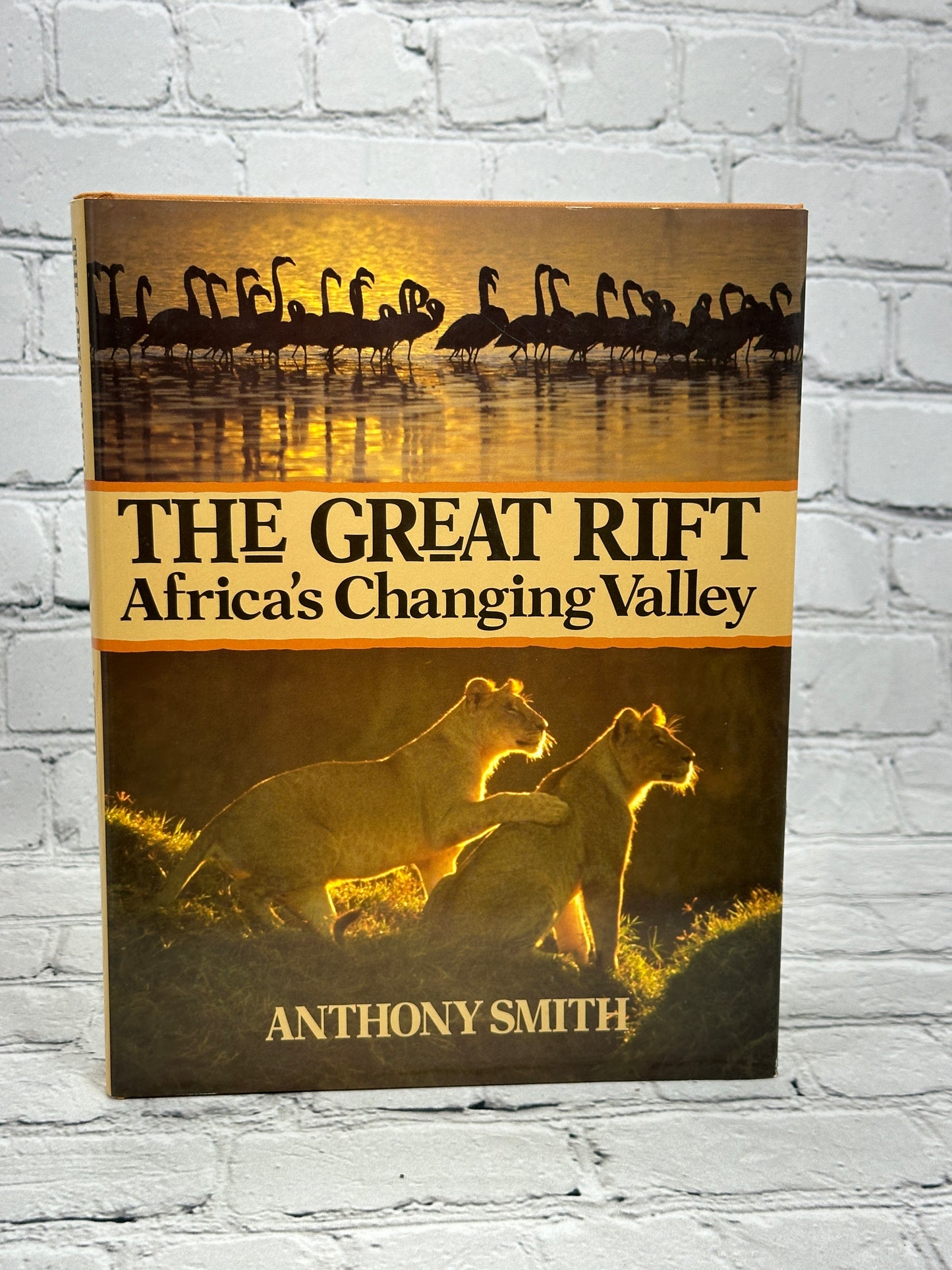 The Great Rift: Africa's Changing Valley By Anthony Smith [1988]