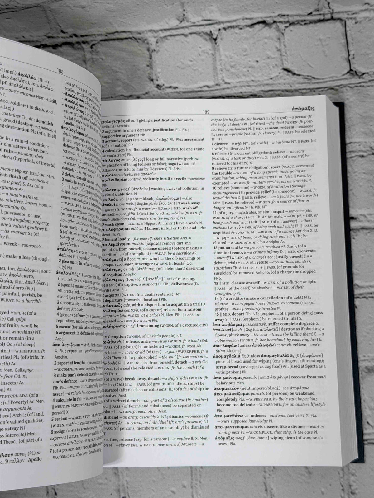 The Cambridge Greek Lexicon (2 Volume Set)