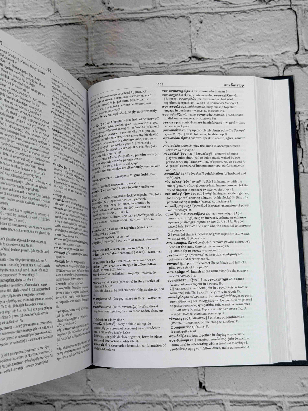 The Cambridge Greek Lexicon (2 Volume Set)