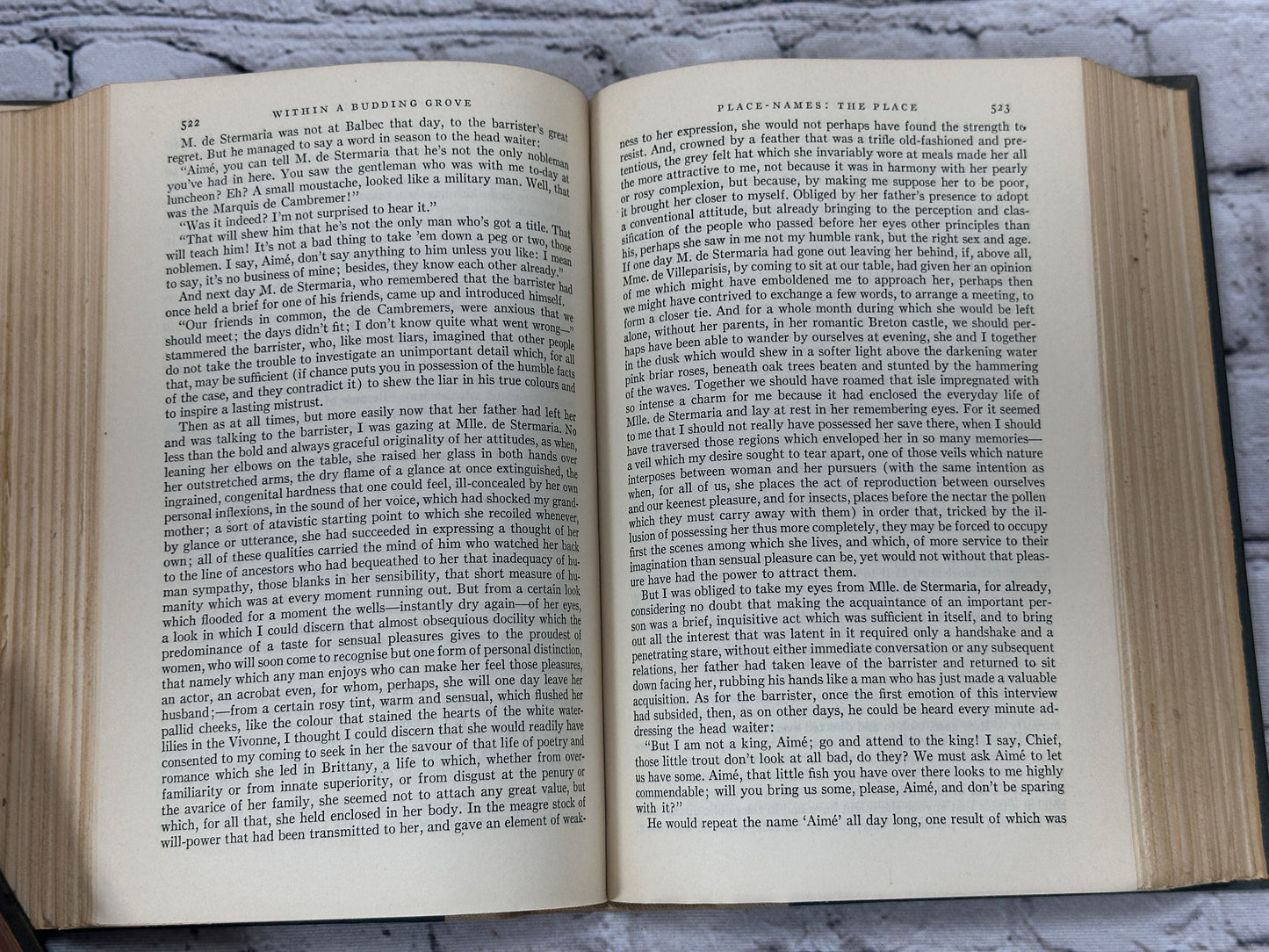 Remembrance of Things Past by Marcel Proust [2 Volume Set · Random House · 1932]
