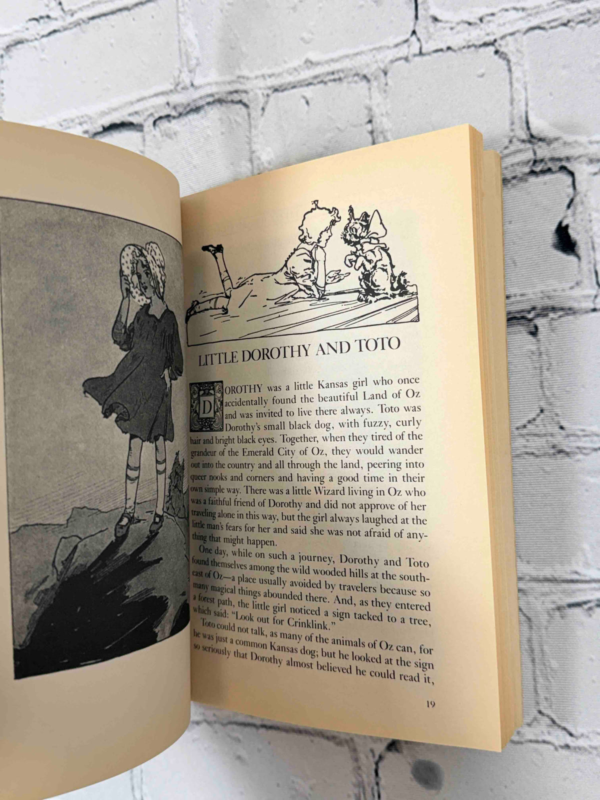 Little Wizard Stories of Oz