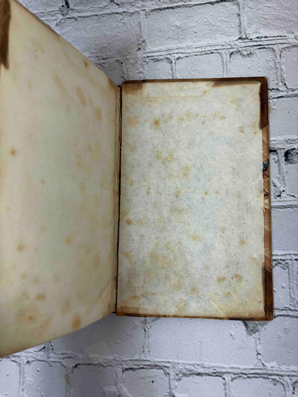 The Edinburgh Review Vol. 85, 1847 - rear endpapers