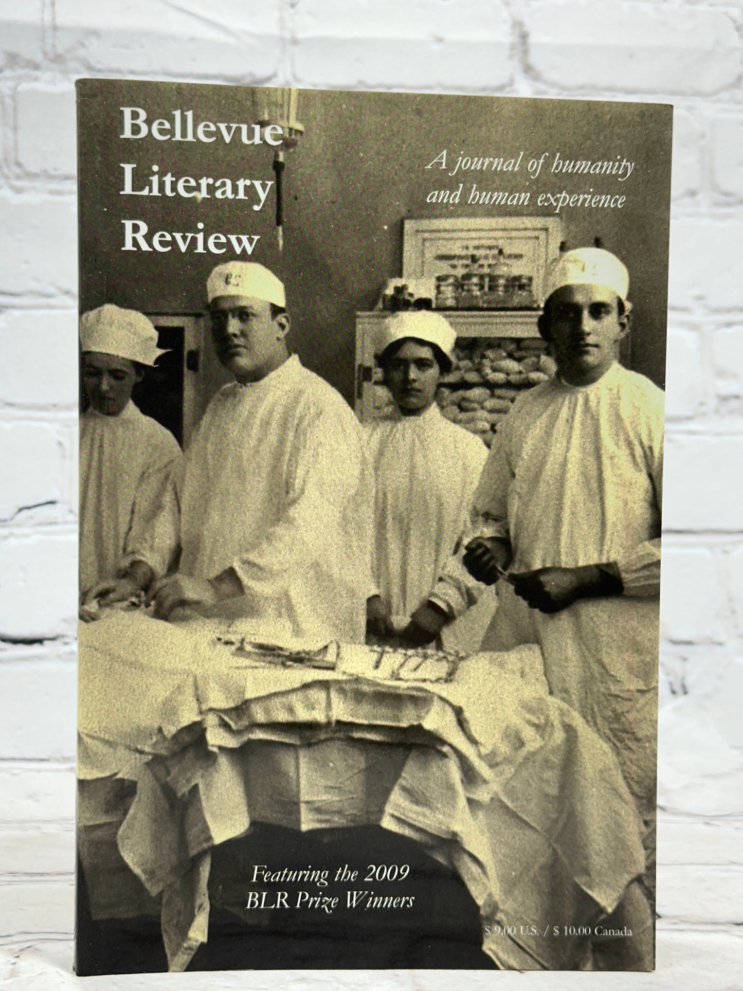 Bellevue Literary Review Journal of Humanity & Human Experience Vol. 9, #1, 2009