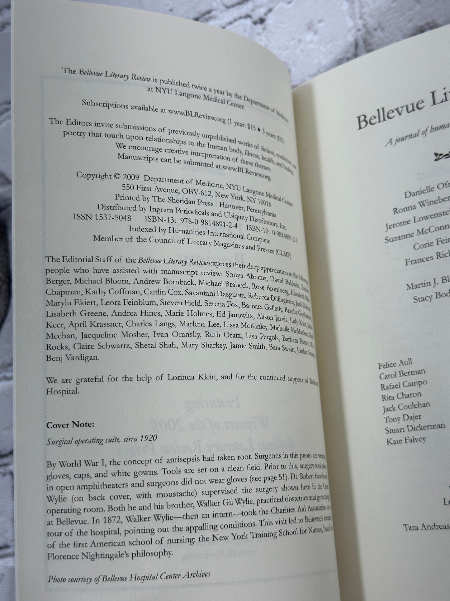 Bellevue Literary Review Journal of Humanity & Human Experience Vol. 9, #1, 2009