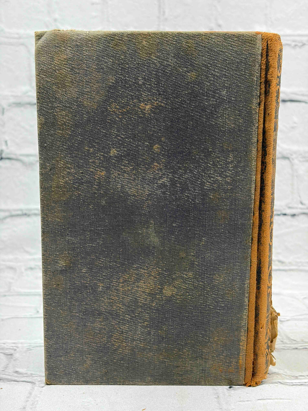 Tower's Fifth Reader by David B. Tower, 1854 - rear cover