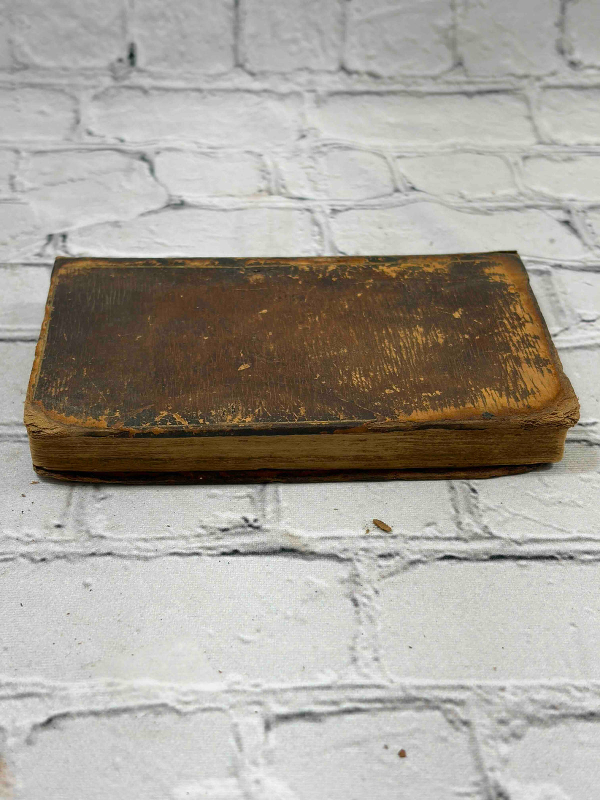 The Tales of the Genii Vol. II, Cooke's Edition - bottom edge view