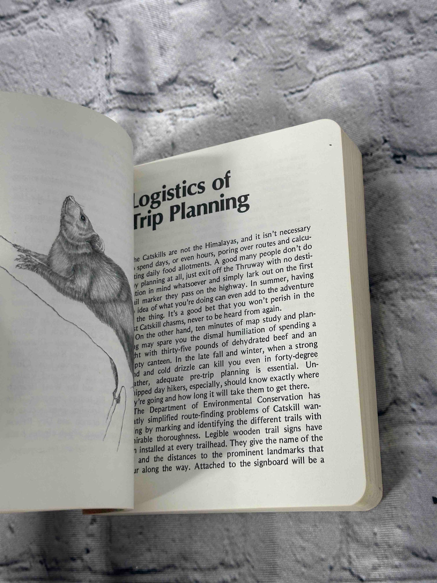 Walks in the Catskills