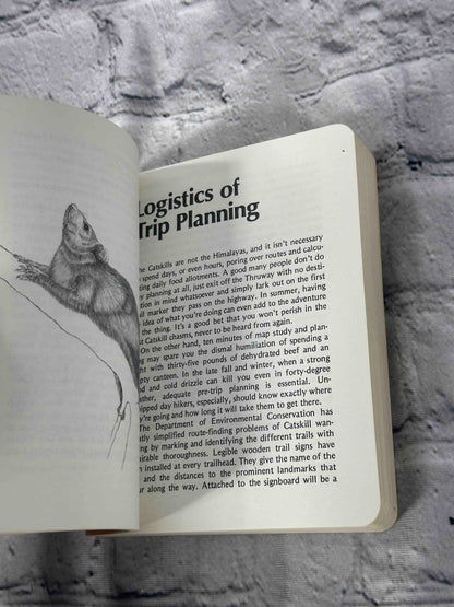 Walks in the Catskills