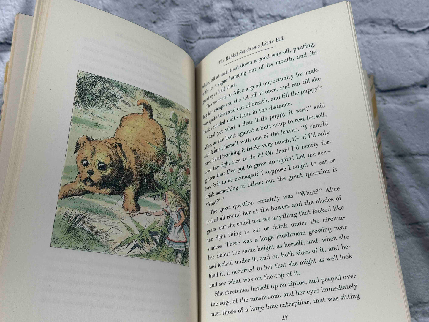 Alice in Wonderland / Through the Looking Glass