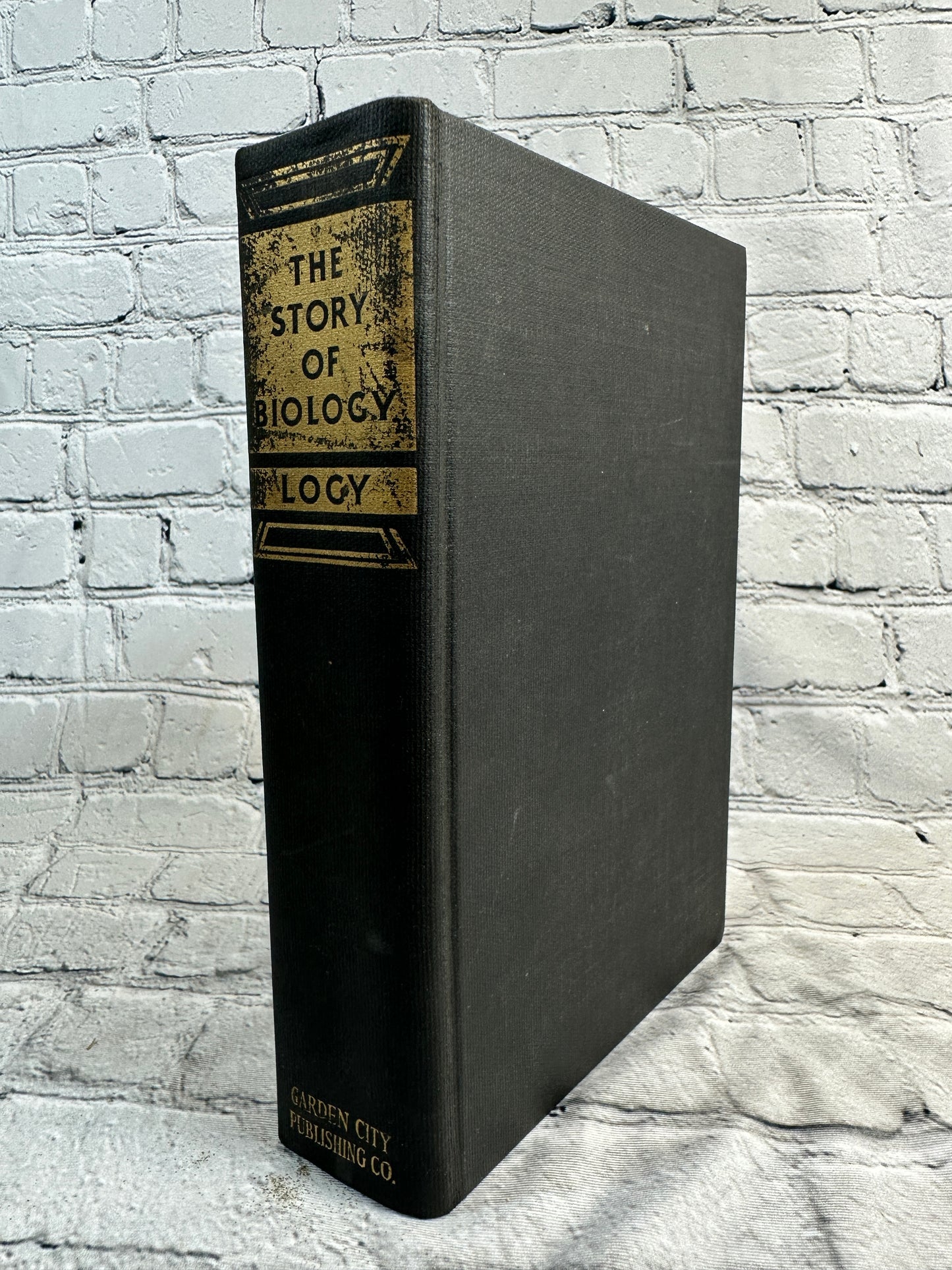 The Story of Biology By William Albert Locy [1925]