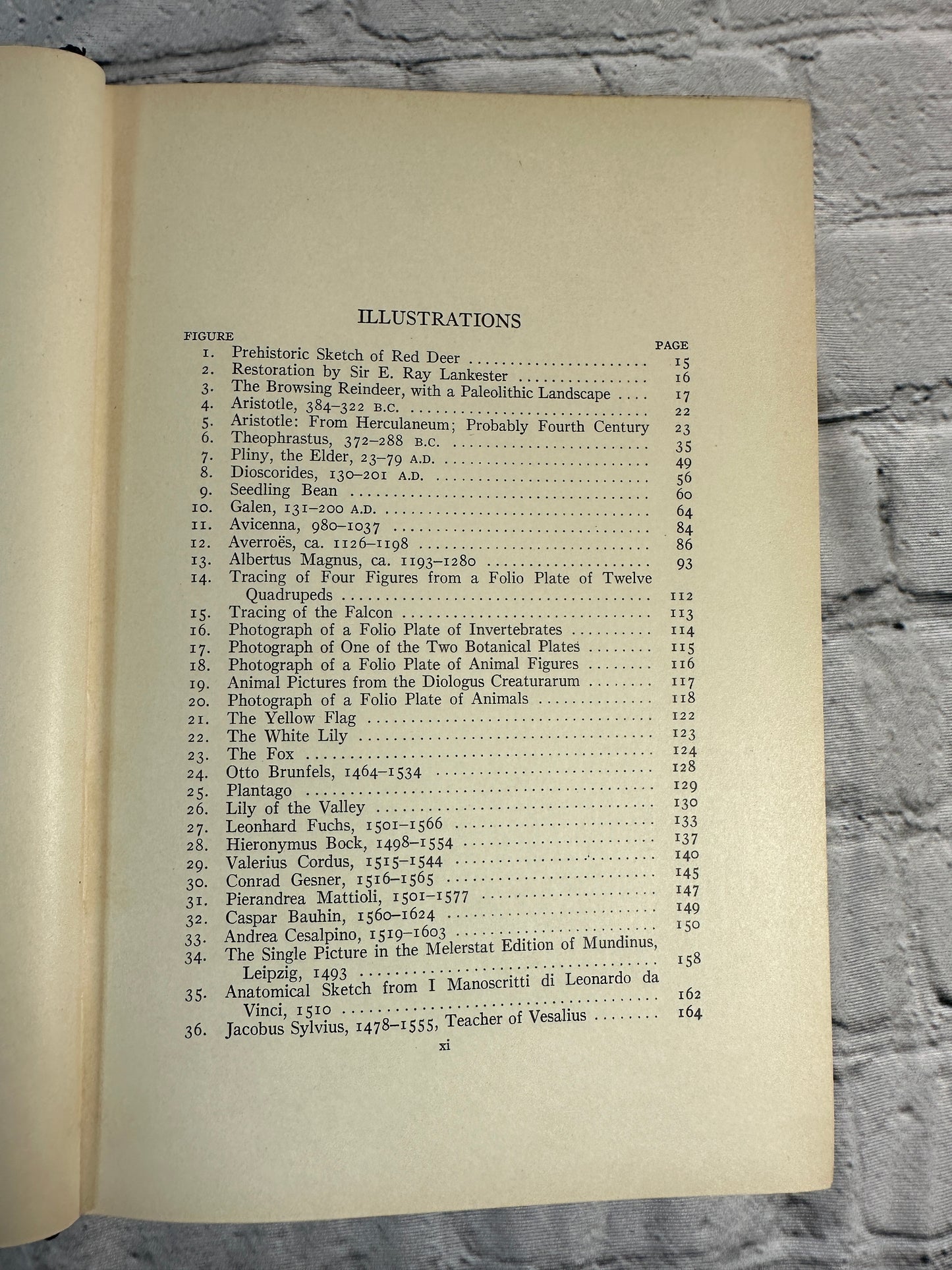 The Story of Biology By William Albert Locy [1925]