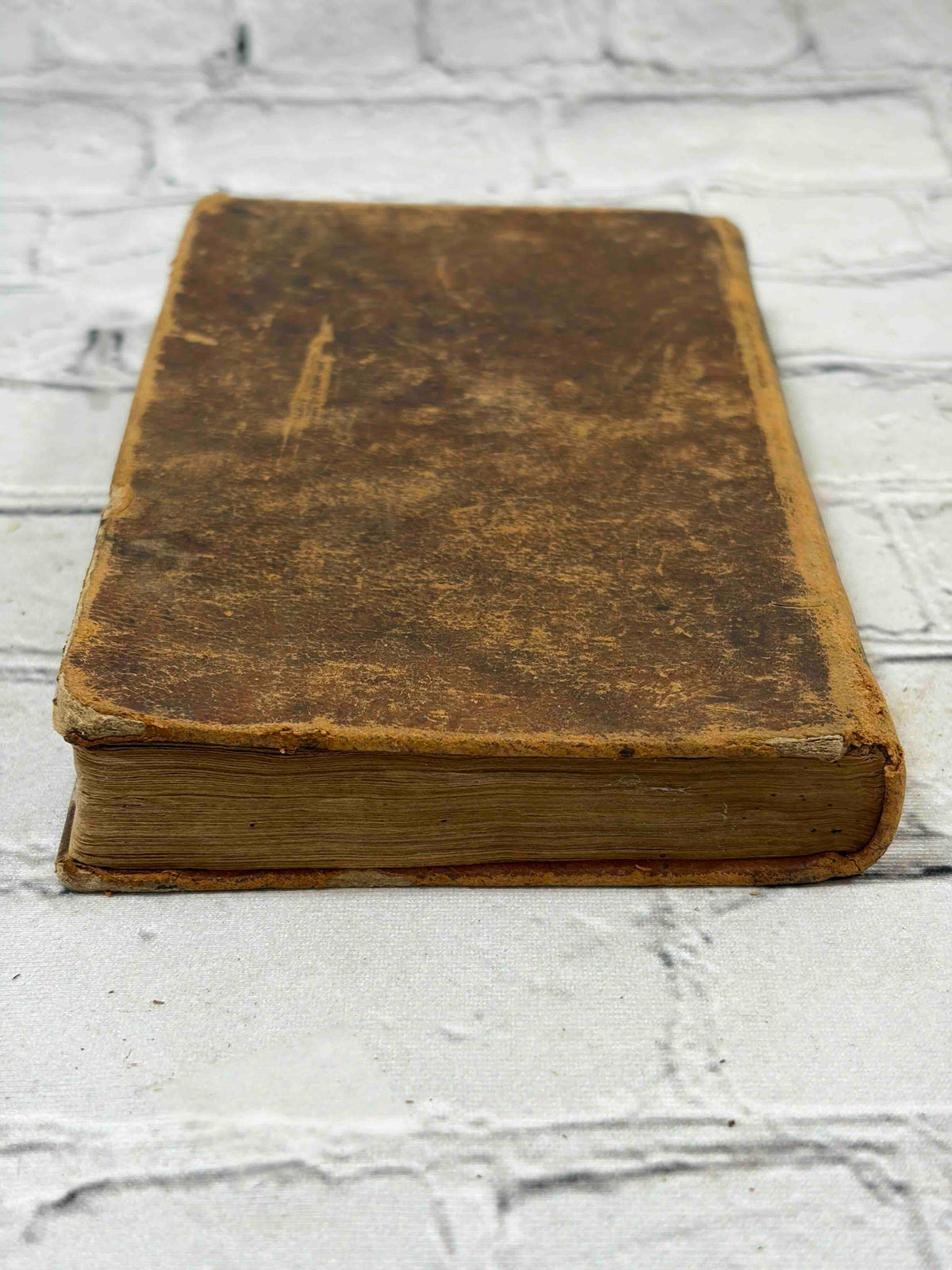 The English Reader by Lindley Murray, 1822 Exeter - top view of front cover