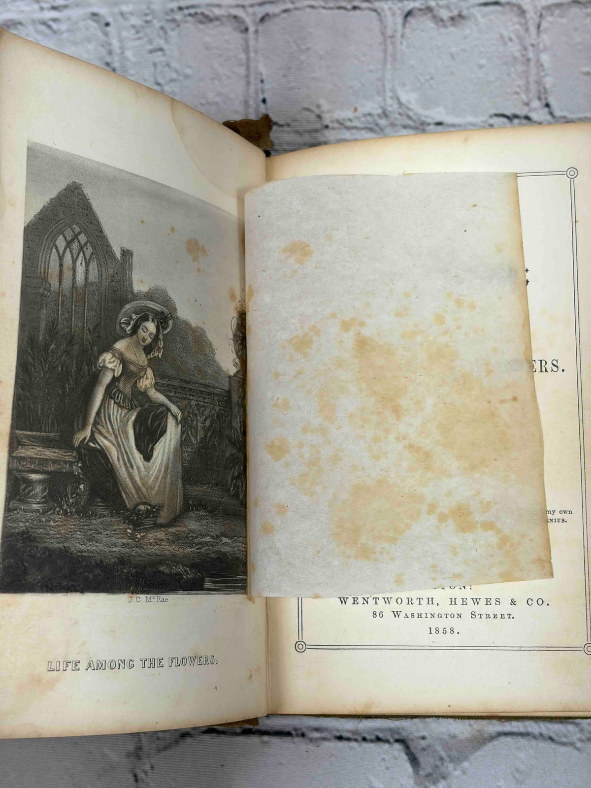 The Rural Wreath by Laura Greenwood, 1858 - frontispiece with tissue guard