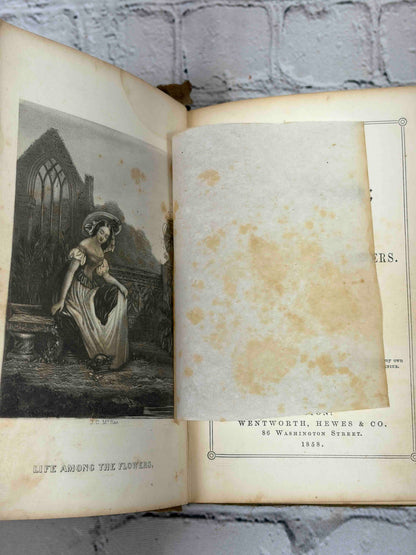 The Rural Wreath by Laura Greenwood, 1858 - frontispiece with tissue guard