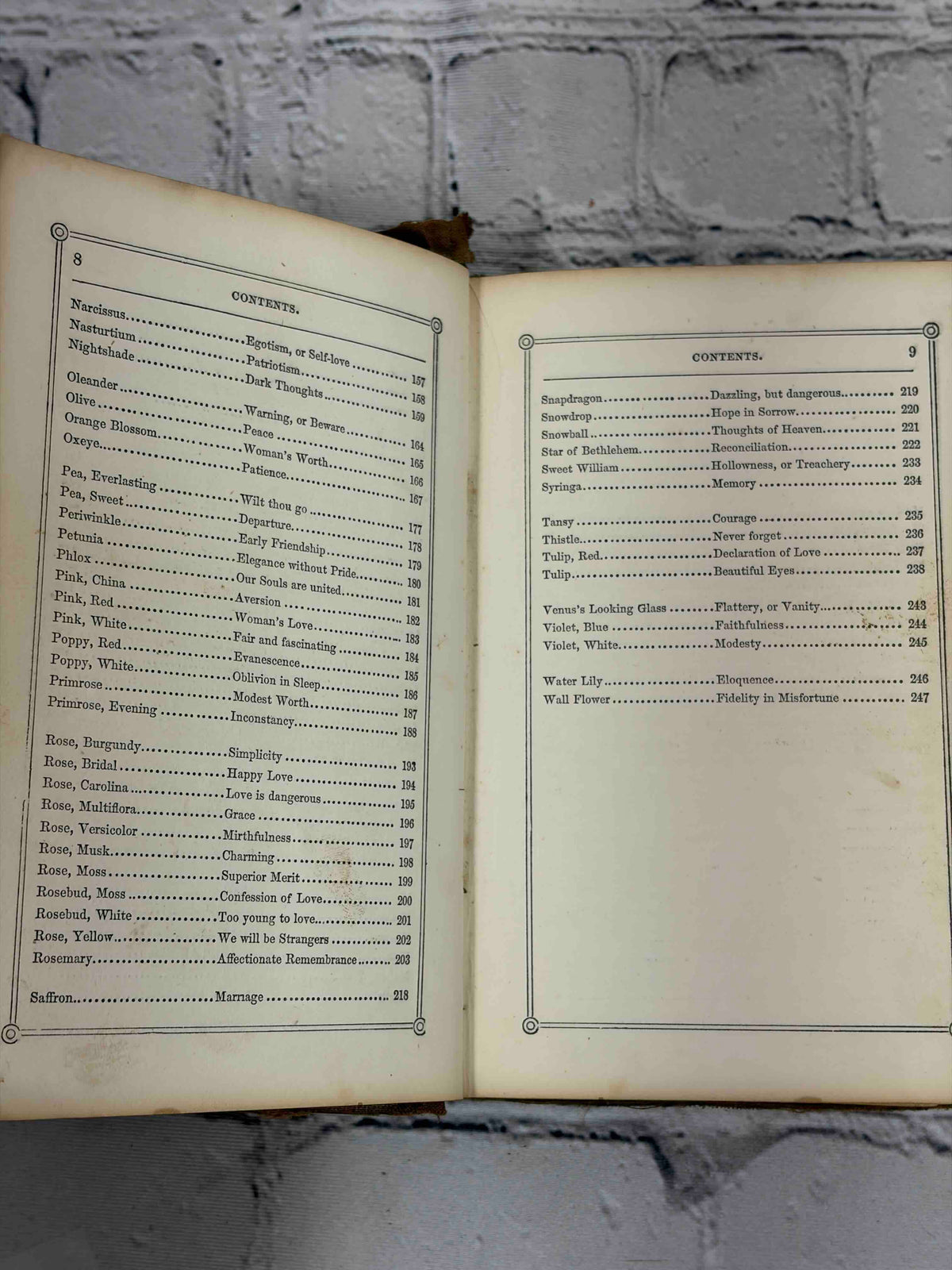 The Rural Wreath by Laura Greenwood, 1858 - interior pages